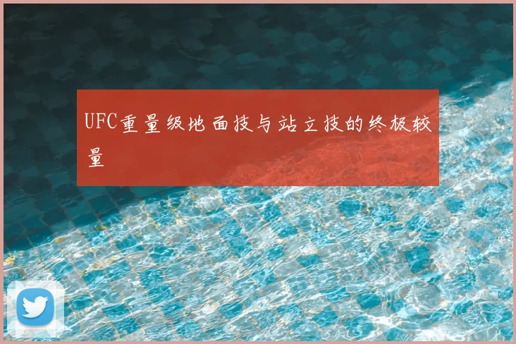 UFC重量级地面技与站立技的终极较量