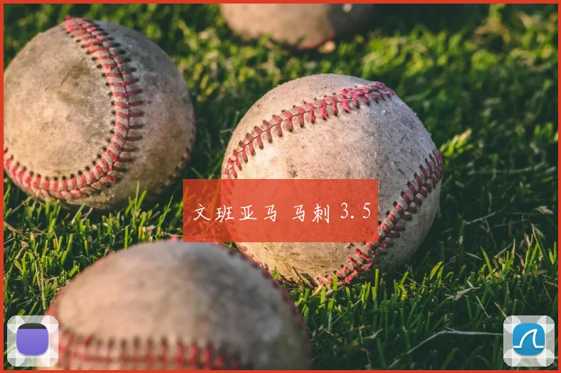 文班亚马 马刺 3.5