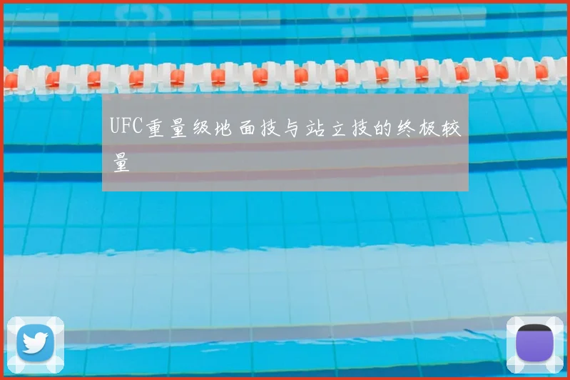 UFC重量级地面技与站立技的终极较量